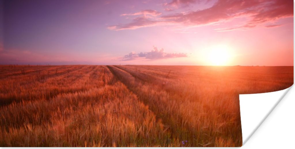 MuchoWow Poster Wiese - Sonne - Abend - Landschaft 120x60 cm - Bild