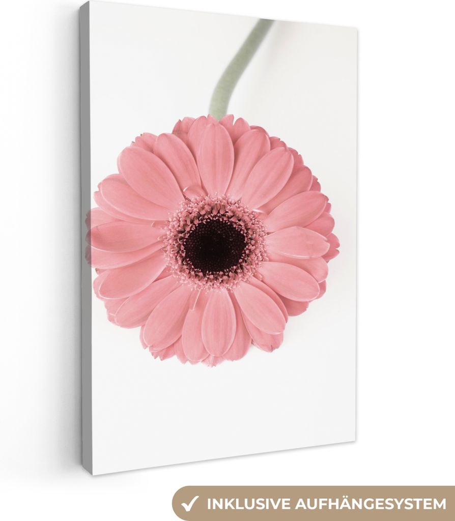 OneMillionCanvasses - Leinwandbilder - 90x140 cm, Blume - Rosa - Natur - Pflanze, Wandbilder Kunstdruck Wanddekoration - Foto auf Leinwand - Gem...