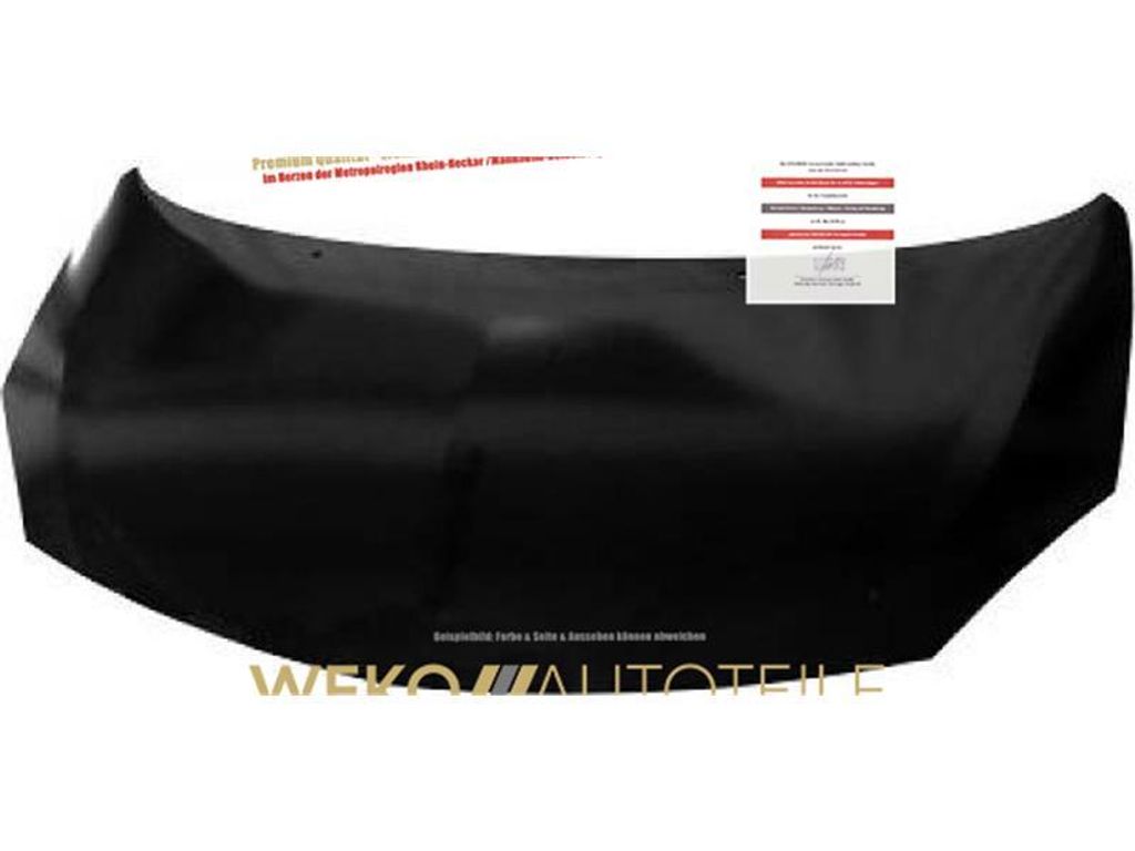 Motorhaube DIEDERICHS 4481000 für RENAULT