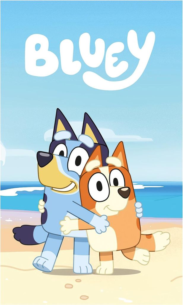 Coperta polare bluy 100x150cm Coperta per bambini Beach Day Immagine del prodotto 