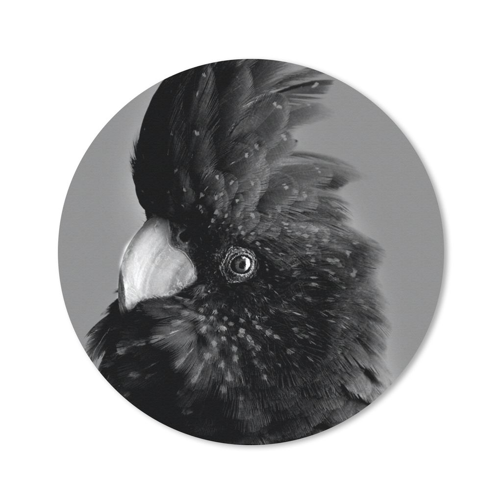 MuchoWow Mauspad Mousepad Nahaufnahme eines Kakadus vor gelbem Hintergrund - schwarz und weiß 40x40 cm - Mousepads - Maus Mat - Pad - Mausunterl...