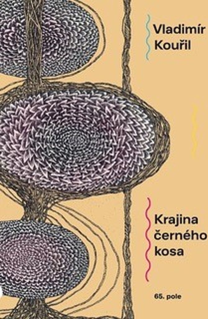 Krajina černého kosa (Kouřil Vladimír)