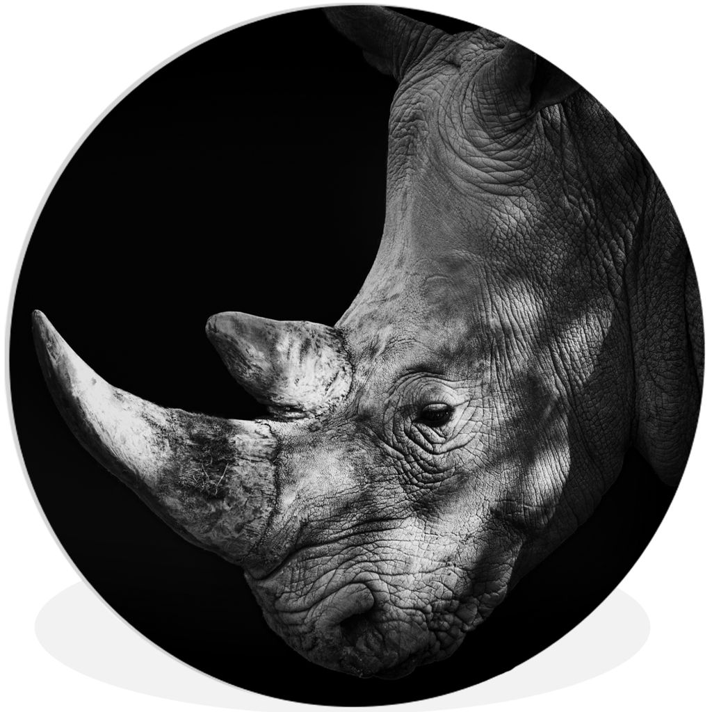 MuchoWow Rundes Wandbild - Runde Bilder Rhinozeros - Tier - Licht Ø 30 cm Kreis Wanddekoration Kunststoff - Wandkreis - Wandschmuck - Schlafzimm...