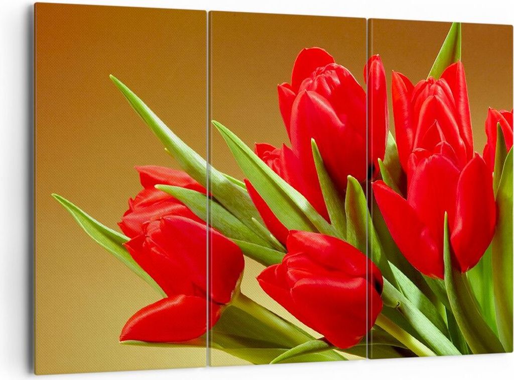 Bild auf Leinwand - Leinwandbild - Tulpen Blumen Feld Plantage - 165x110cm - Wand Bild - Wanddeko - Leinwanddruck - Bilder - Kunstdruck - Wanddekor...