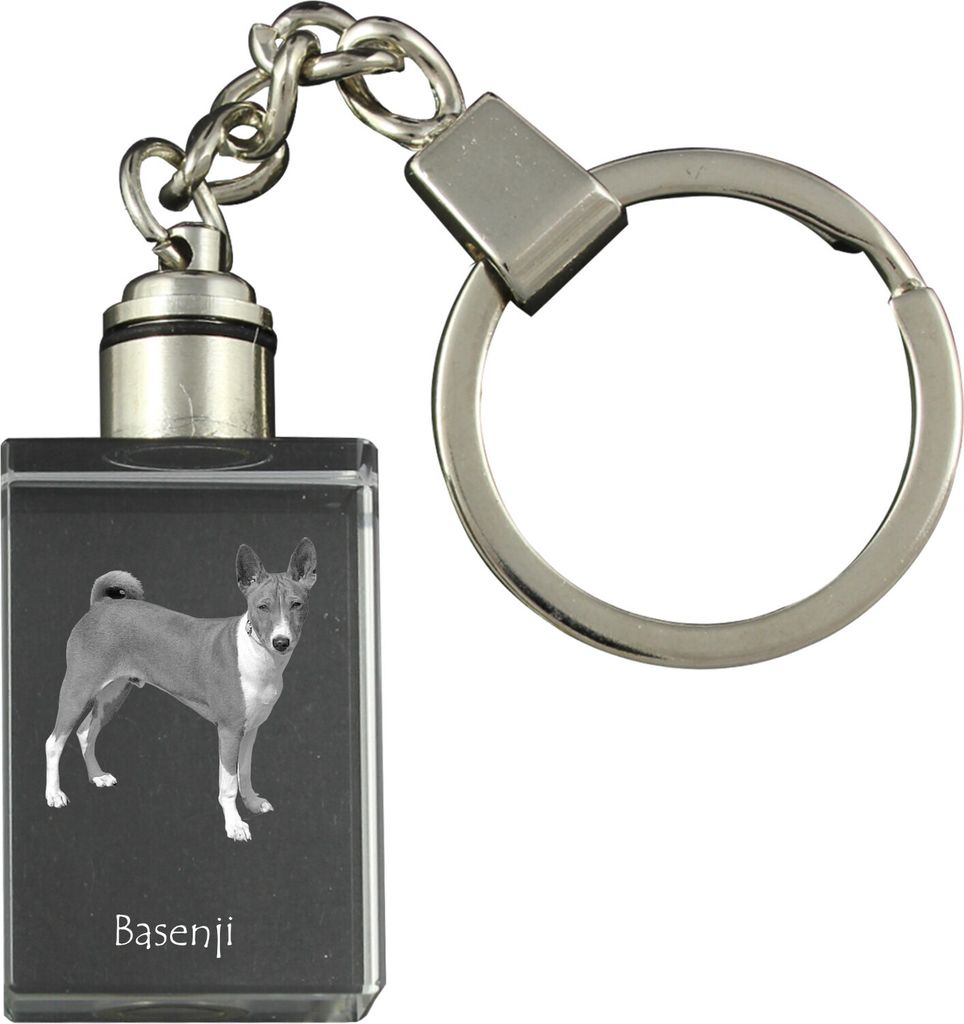 Basenji, Kongo-Terrier - Schlüsselanhänger aus Kristall mit Hundefoto, beleuchteter Schlüsselanhänger, einzigartiges Geschenk der Marke Art-Dog