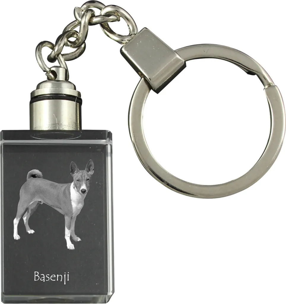 Idea Regalo Basenji: Portachiavi Cristallo LED Art-Dog Trendy