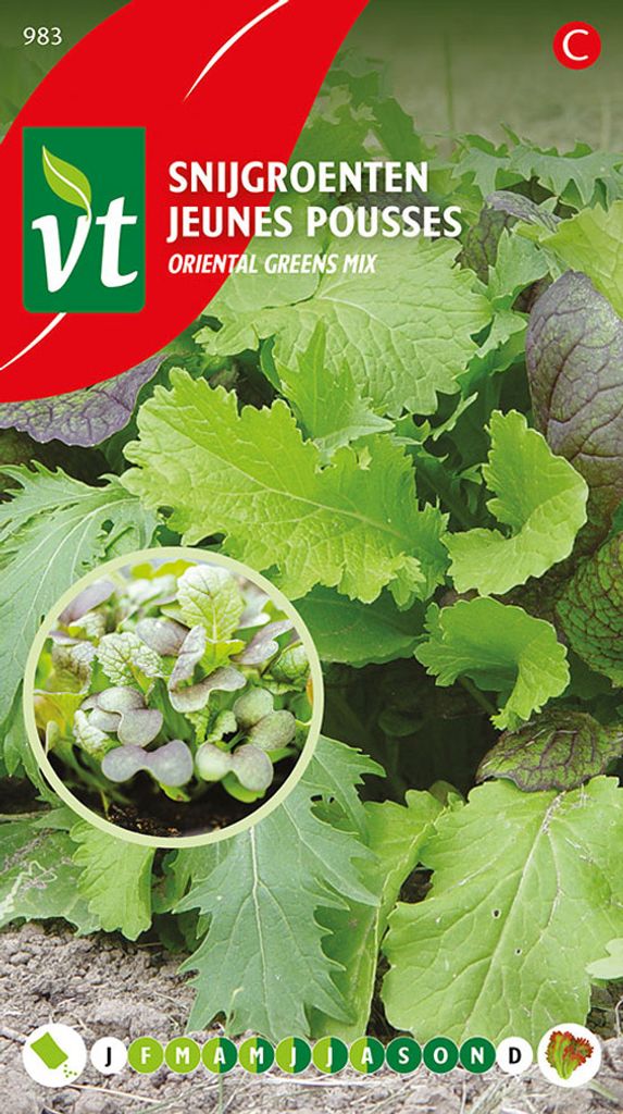 Salat Orientalische Grüns mix Samen - Ca. 2.5 gr | VT_983 Produktbild 