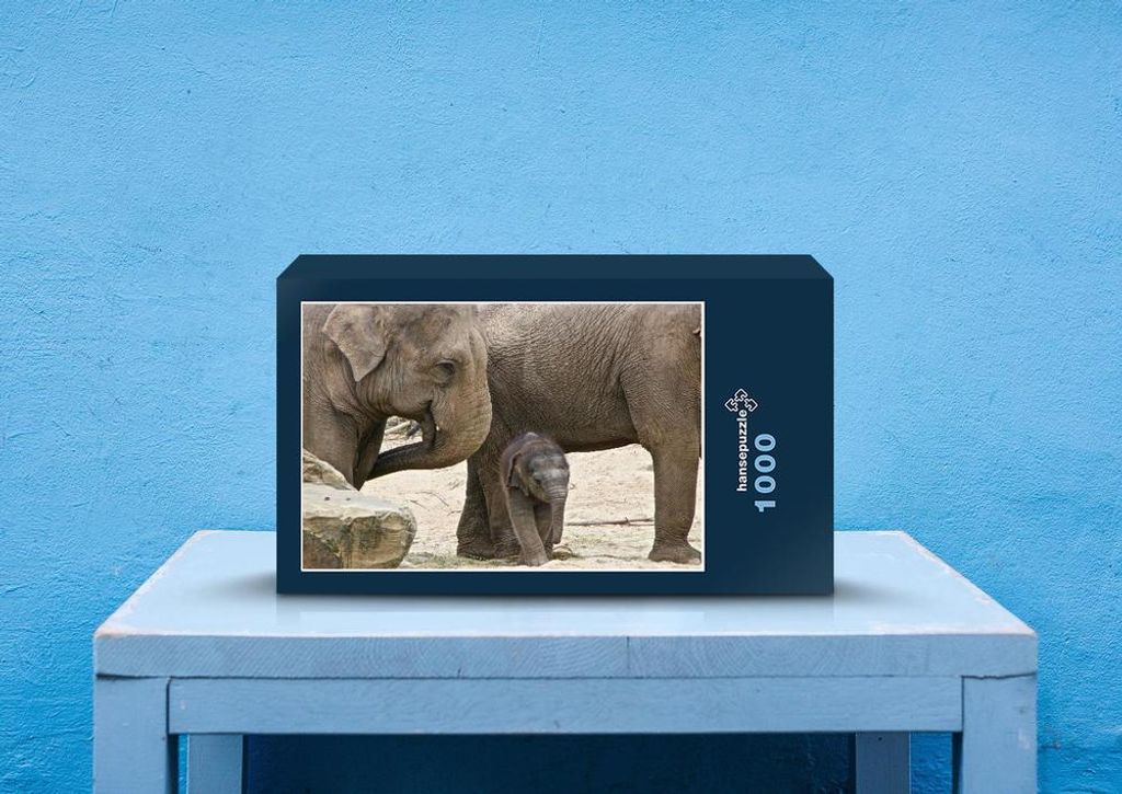 hansepuzzle 86689 - Elefanten Puzzle, 1000 Teile, Tierwelt, 60,0 x 46,0cm mit hochwertiger Aufbewahrung, Kartonbox und wiederverschließbarem Beutel