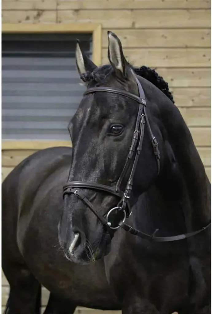 Bridon Riding World : stabilité et confort cuir buffle havane taille PS