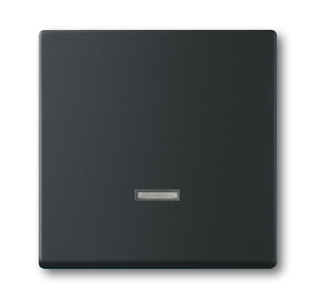 Busch Jaeger 2CKA006599A2968 Elektroantrieb IP20 Schwarz (2CKA006599A2968)