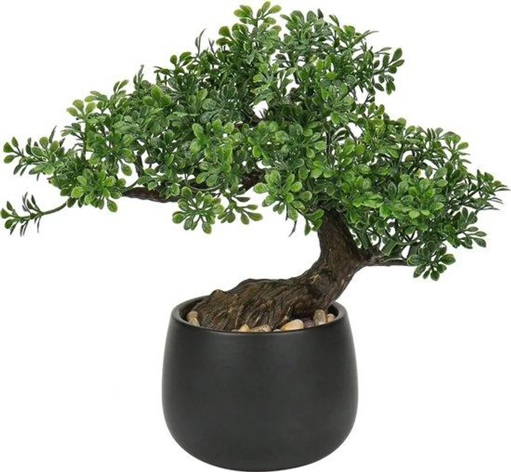 Bonsaï décoratif Boom 25 cm pour bureau et salon en coupe céramique