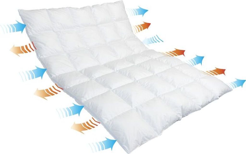 Traumina Breeze Daune Einziehdecke WK 2 Größe 240x220 cm