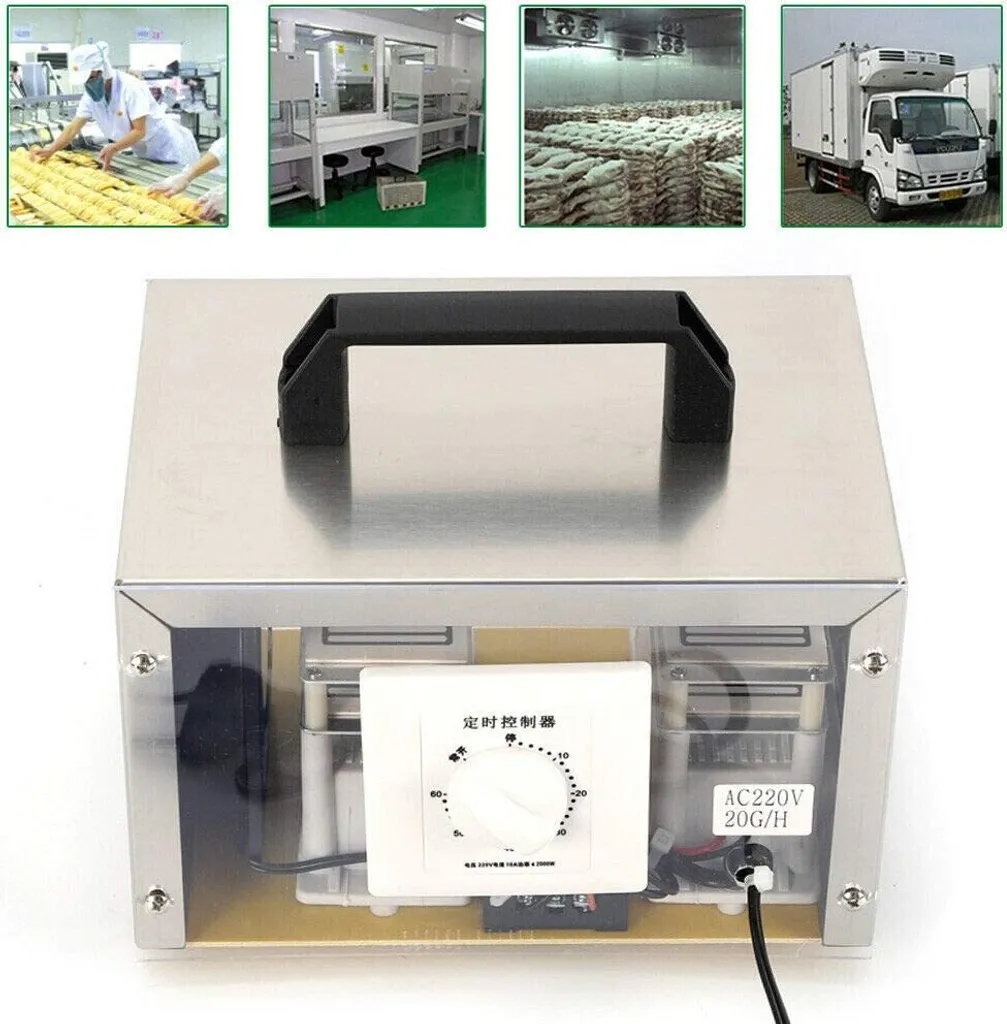 Topchances 20G Générateur d'Ozone 220V - Appareil de Purification en Acier