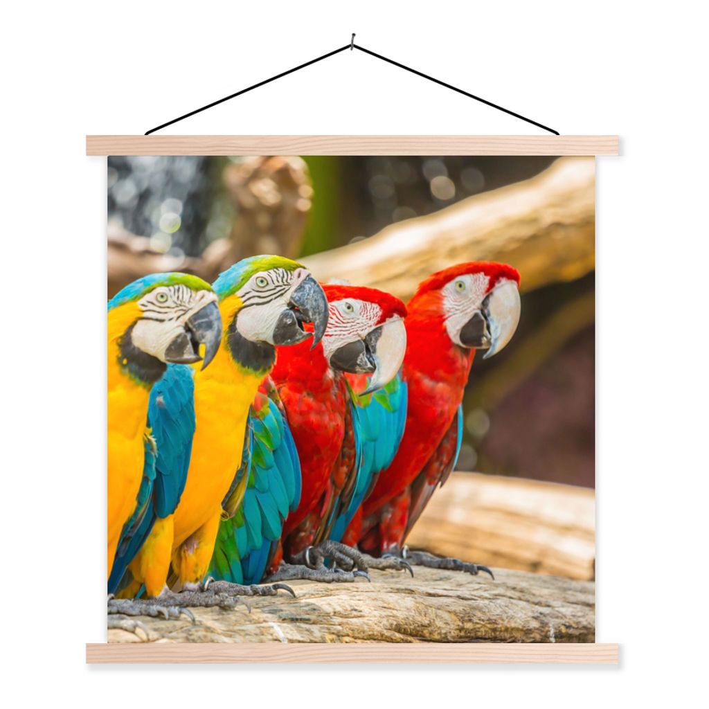 MuchoWow Textilposter Vögel - Papagei - Tropisch - Natur 60x60 cm mit holzfarbenen Rahmen - Wanddekoration