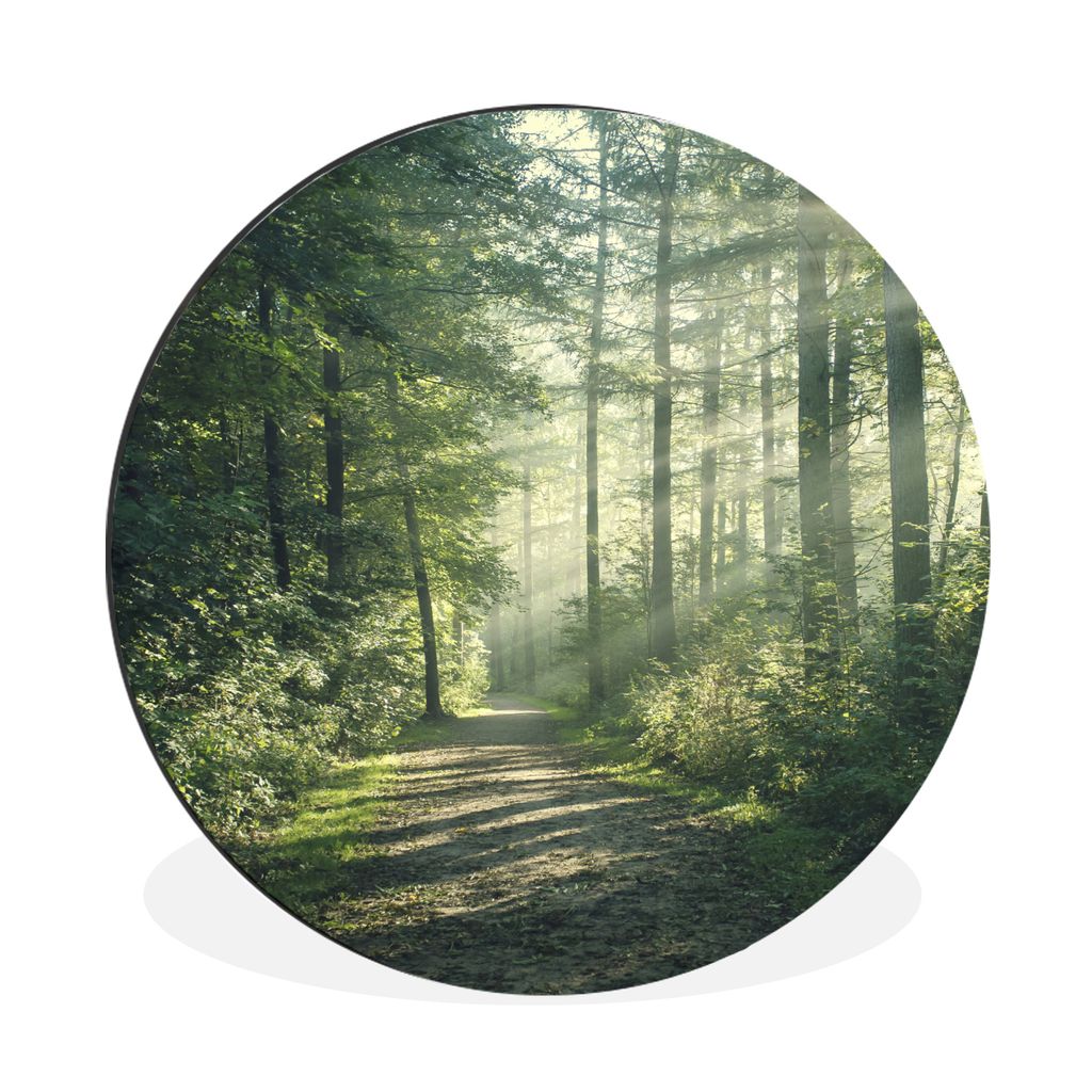 MuchoWow Aluminium Wandkreis Wald - Licht - Weg Ø 60 cm Wanddeko Modern Wohnzimmer - Wand Kreis - Wandbild - Schlafzimmer - Aluminium Bild - Kin...