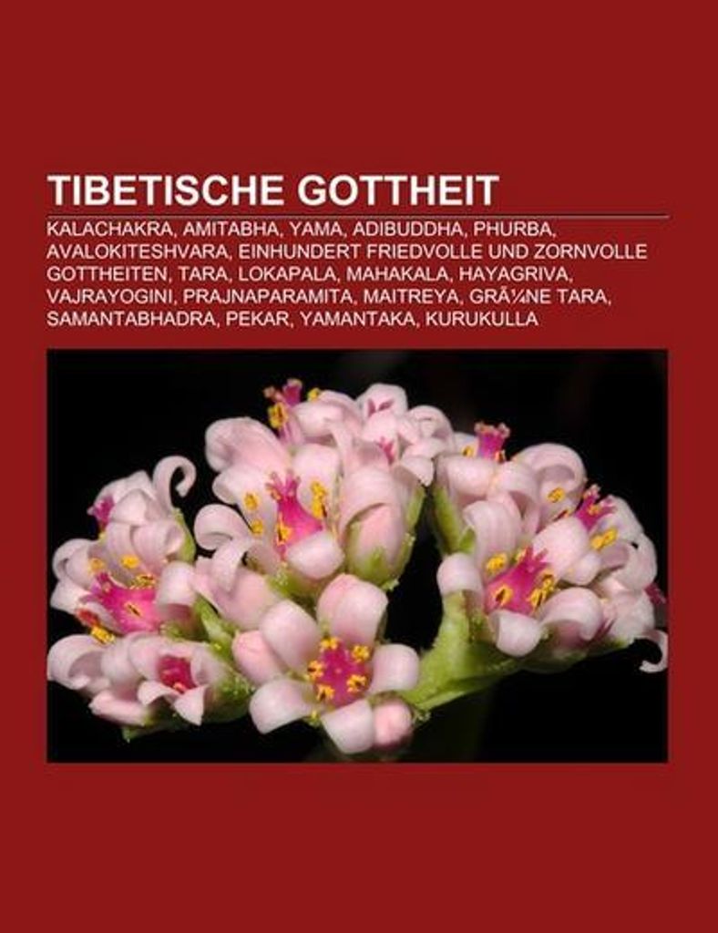 Tibetische Gottheit