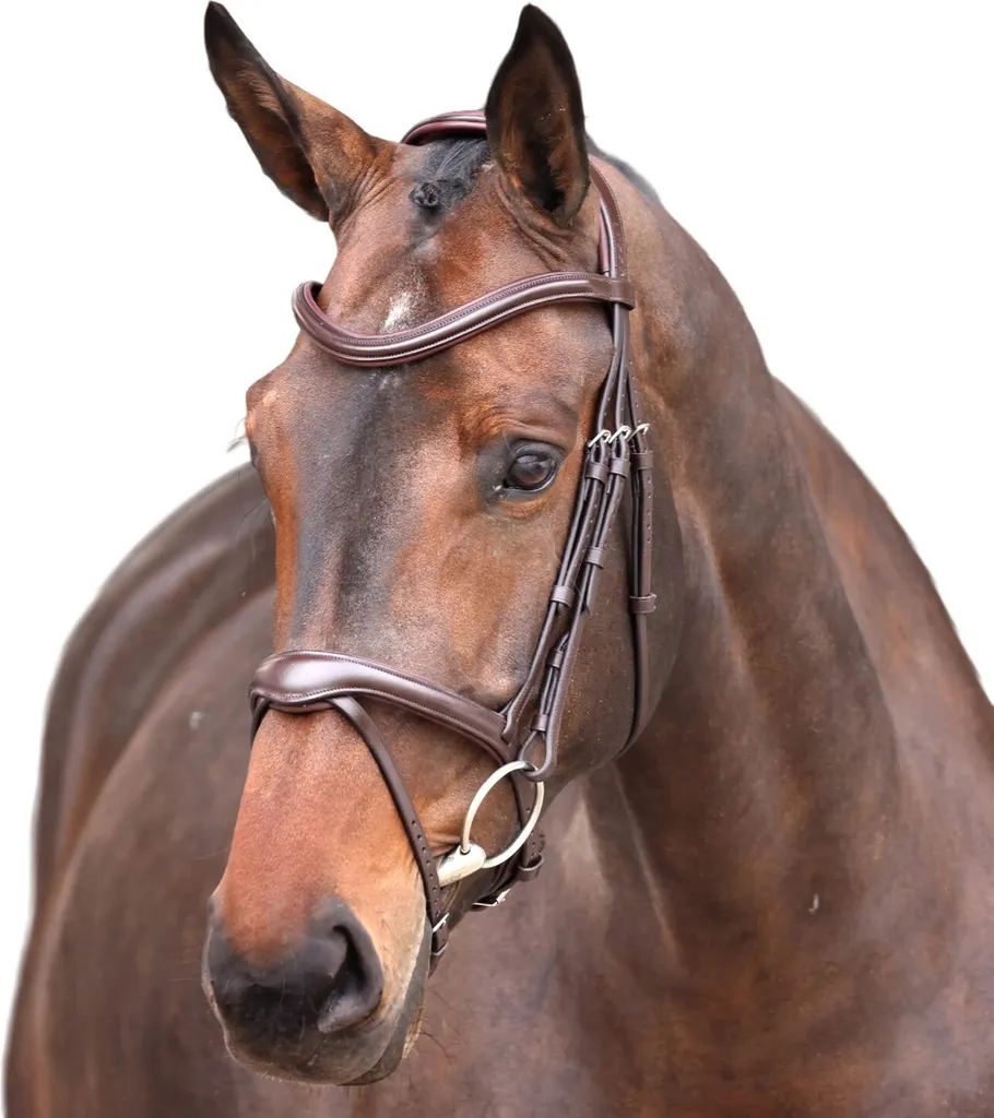 Bridon Flash Velociti Lusso Elite Leder ER2051 Full Marron pour Cheval
