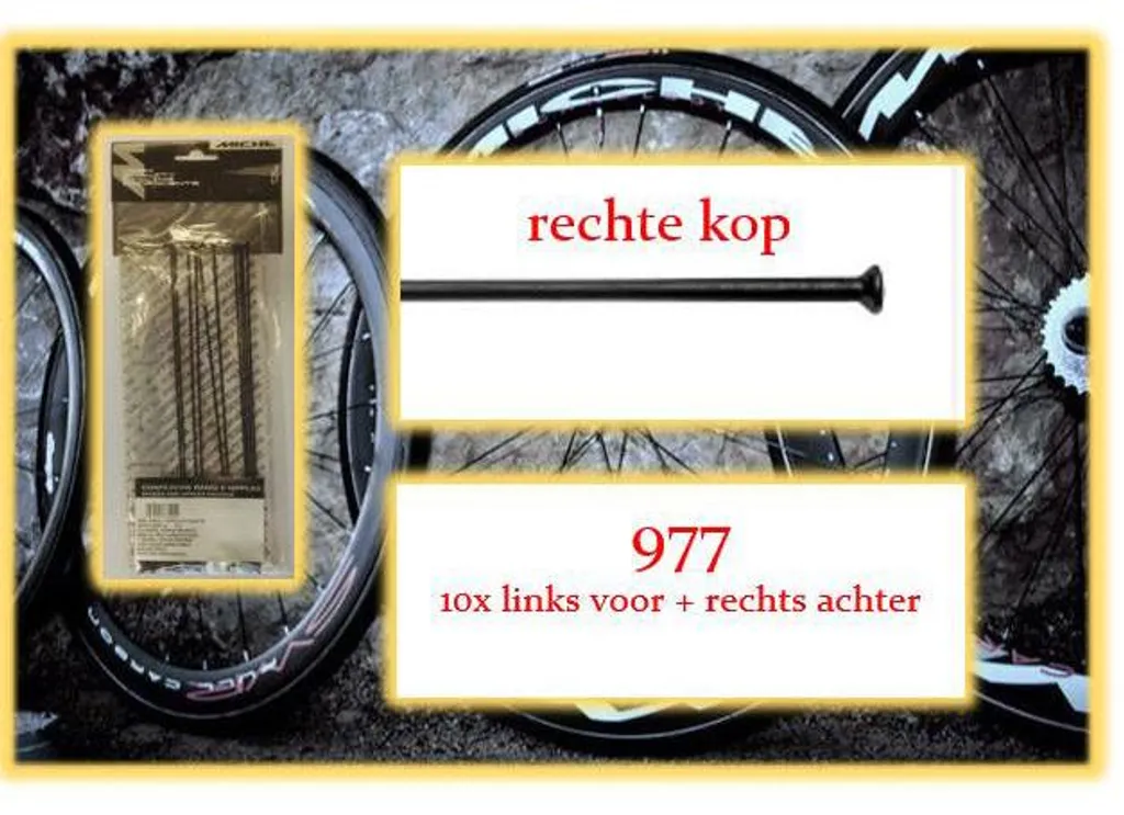 Rayons Miche Ra 977 tête droite avec 10x LV pour montage de roue rigide