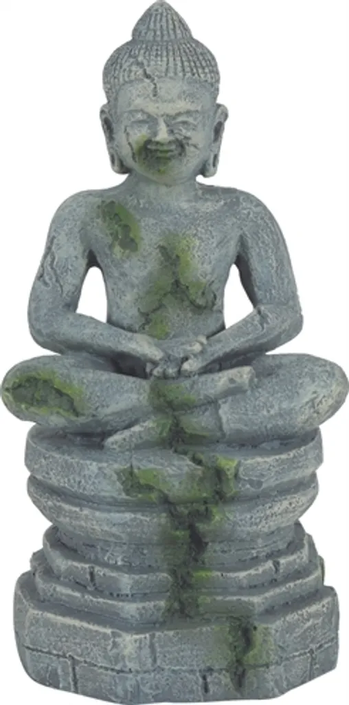 Statua Buddha Zolux per Acquariologia | Resina Atossica Professionale