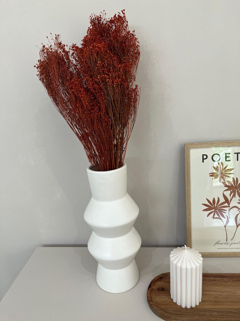 Broom Bloom Trockenblumen 1 Bund 40-50cm voluminöse Deko Blüten langlebig