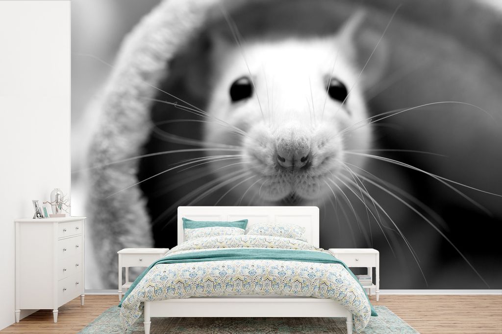 MuchoWow Fototapete für Wohnzimmer oder Schlafzimmer Wandtapete Vinyl Motivtapete Nahaufnahme Maus - schwarz und weiß - 360x240 cm - Vinyl-Tapete