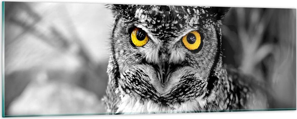 Bilder auf glas - Eule Vogel Natur - 90x30cm - Glasbilder - Wandbilder - Kunstdruck - zum Aufhängen bereit - Wanddekoration aus Glas - Glas Bilder...