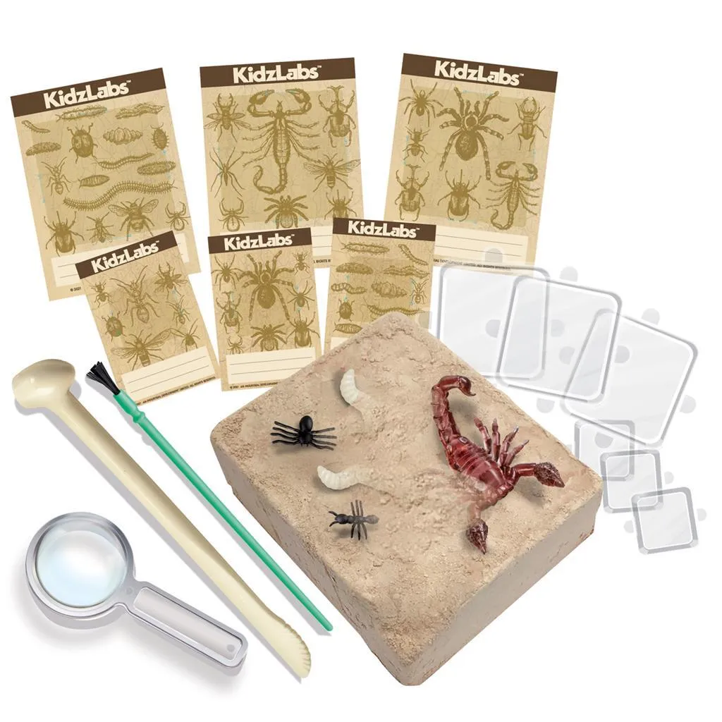 Jeu d'excavation insectes 4M coffret d'apprentissage scientifique