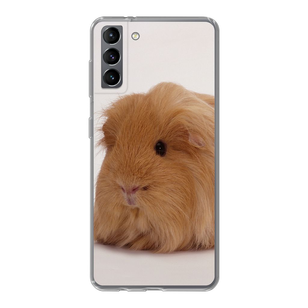 MuchoWow Handyhülle Schutzhülle Hülle für Samsung Galaxy S21 Plus Sheltie-Meerschweinchen Silikon Softcase Handy Hülle - Handy-Tasche