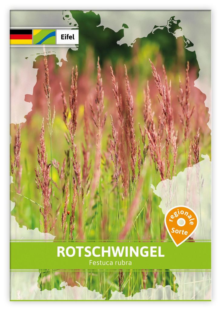 Artikelbild 1 von 'Rotschwingel (Regionale Sorte Eifel)' aus der Kategorie Regionale Sorten
