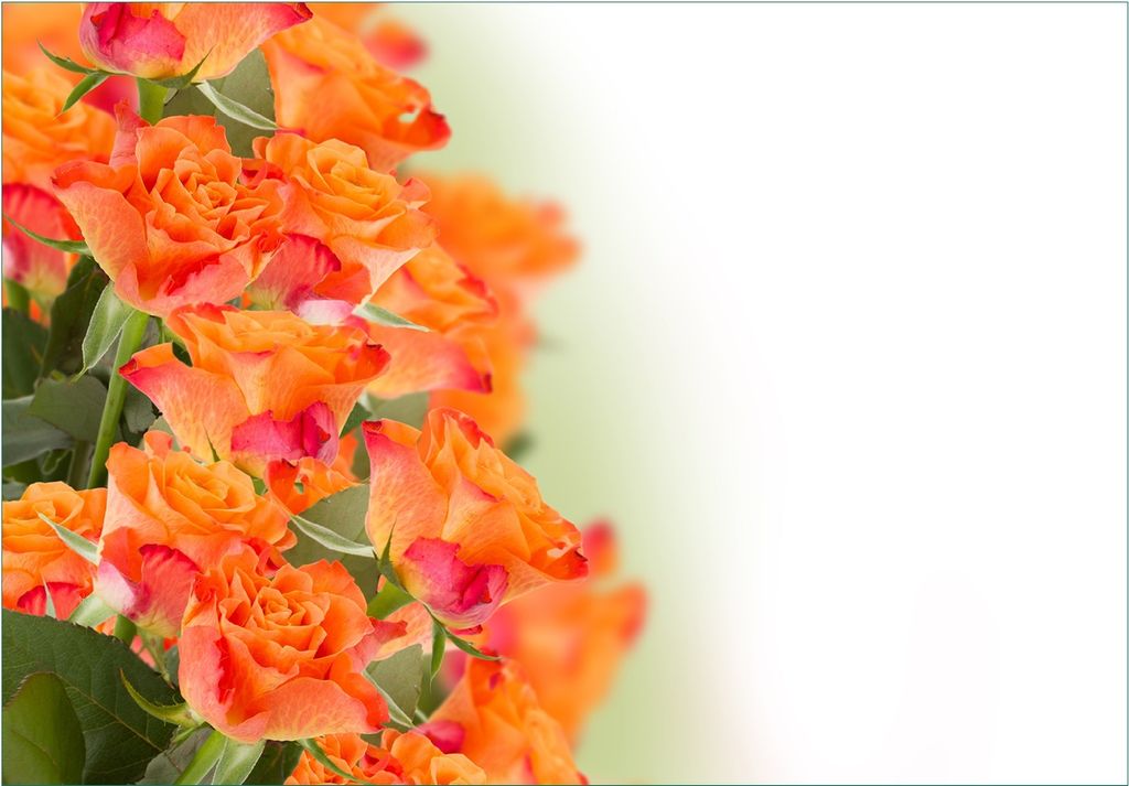 Wallario Fototapete Vliestapete, seidenmatte Oberfläche, einfache Verarbeitung, Größe 300 x 210 cm, Motiv Orangene Rosenblüten im Strauß