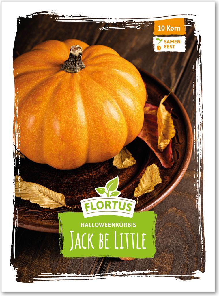 Halloweenkürbis Jack be Little | Halloweenkürbissamen von FLORTUS