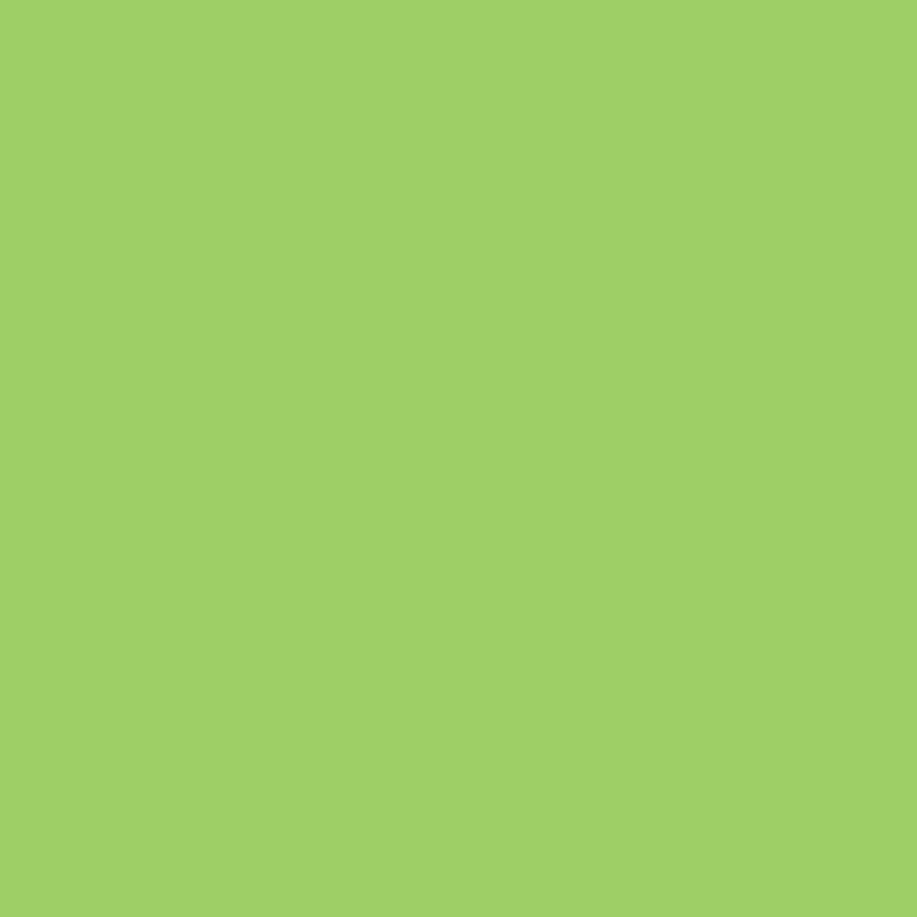 craftcut Plotterfolie - M44 LIGHT GREEN matt - in 100 x 122cm