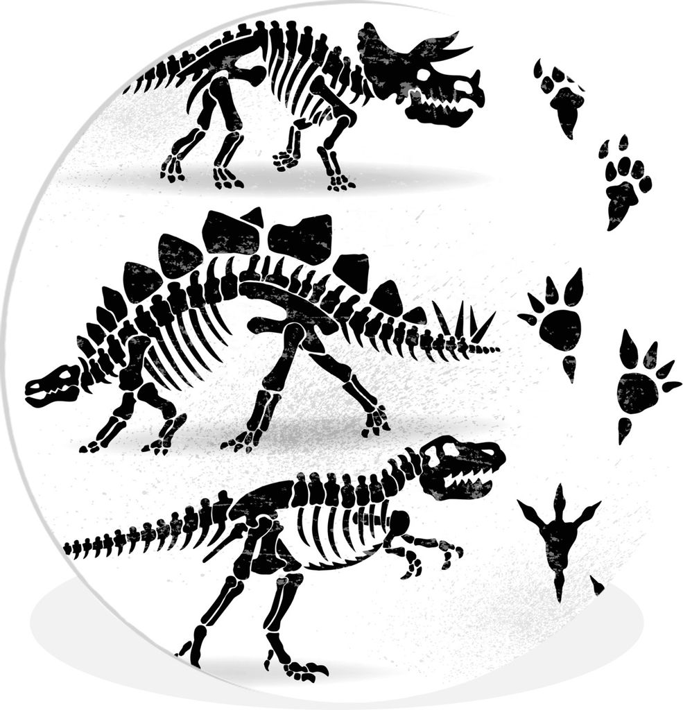 MuchoWow Rundes Wandbild - Runde Bilder Dinosaurier - Skelett - Pfotenabdruck - Zeichnung - Kinder - Kids - Kinder Ø 90 cm Kreis Wanddekoration ...