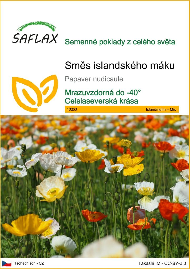 SAFLAX - Směs islandského máku - Papaver nudicaule - 8000 Obrázek produktu 