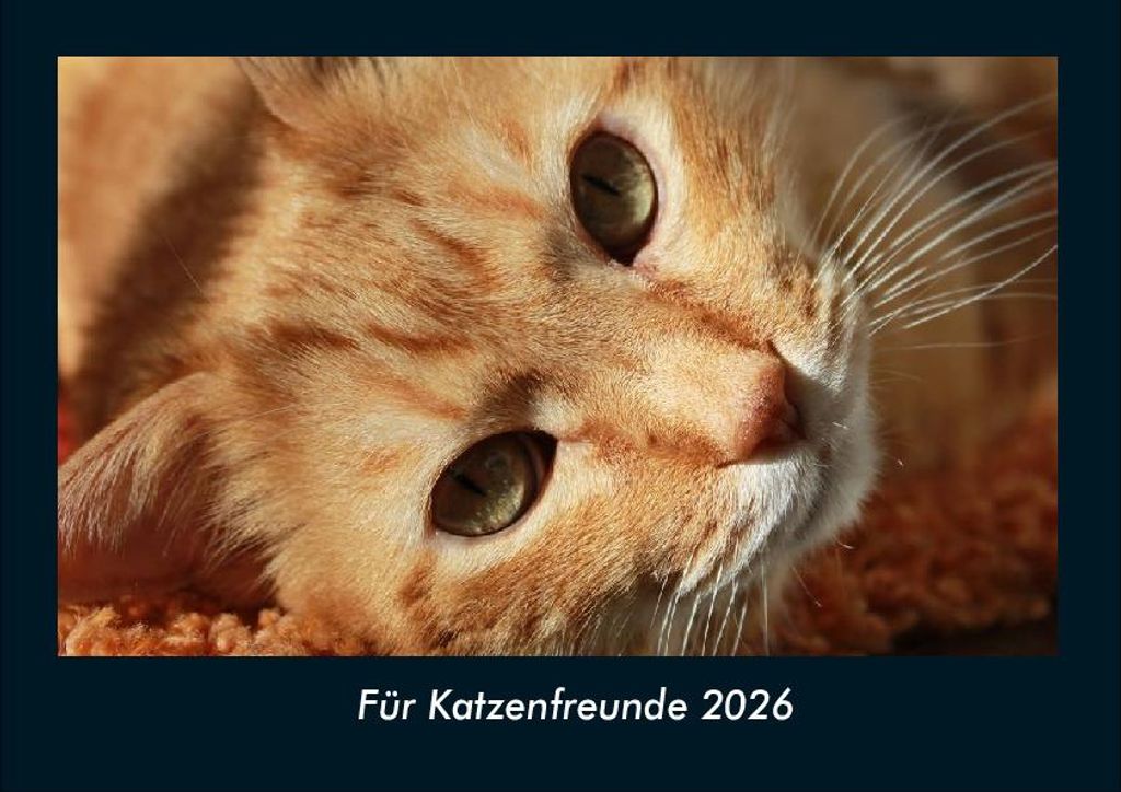 Für Katzenfreunde 2026 Fotokalender - Querformat DIN A4, Monatskalender mit Bild-Motiven von Haustieren, Bauernhof, wilden Tieren und Raubtieren