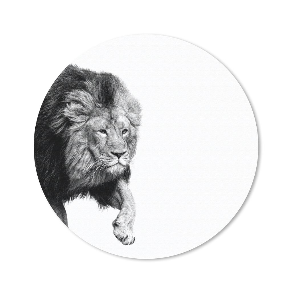 MuchoWow Mauspad Mousepad Löwe - Tiere - Schwarz - Weiß 50x50 cm - Mousepads - Maus Mat - Pad - Mausunterlage - Vinyl