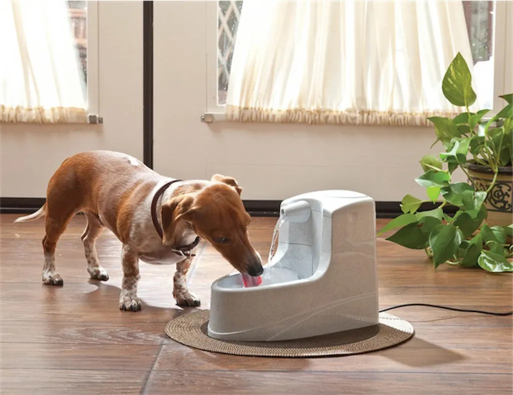 Fontaine à eau pour chat Drinkwell® Mini 1,2L - Hydratation permanente
