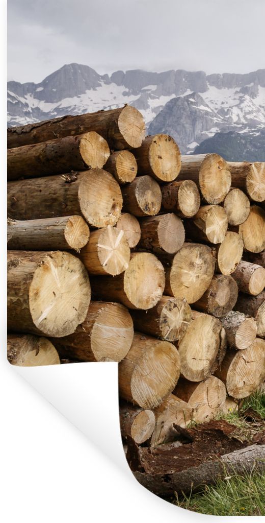 MuchoWow Wandtattoo Wandsticker Wandaufkleber Mehrere Baumstämme sind in einer verschneiten Berglandschaft aufgestapelt 80x160 cm Selbstklebend ...