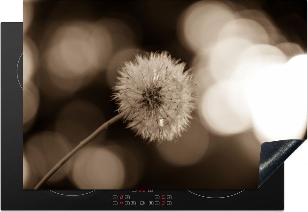 KitchenYeah Herdabdeckplatte Sepia-Fotodruck Löwenzahn , 77x51cm, Küche Deko, Glaskeramikkochfeld Herdabdeckung, Abdeckplatte fùr Kochfeld