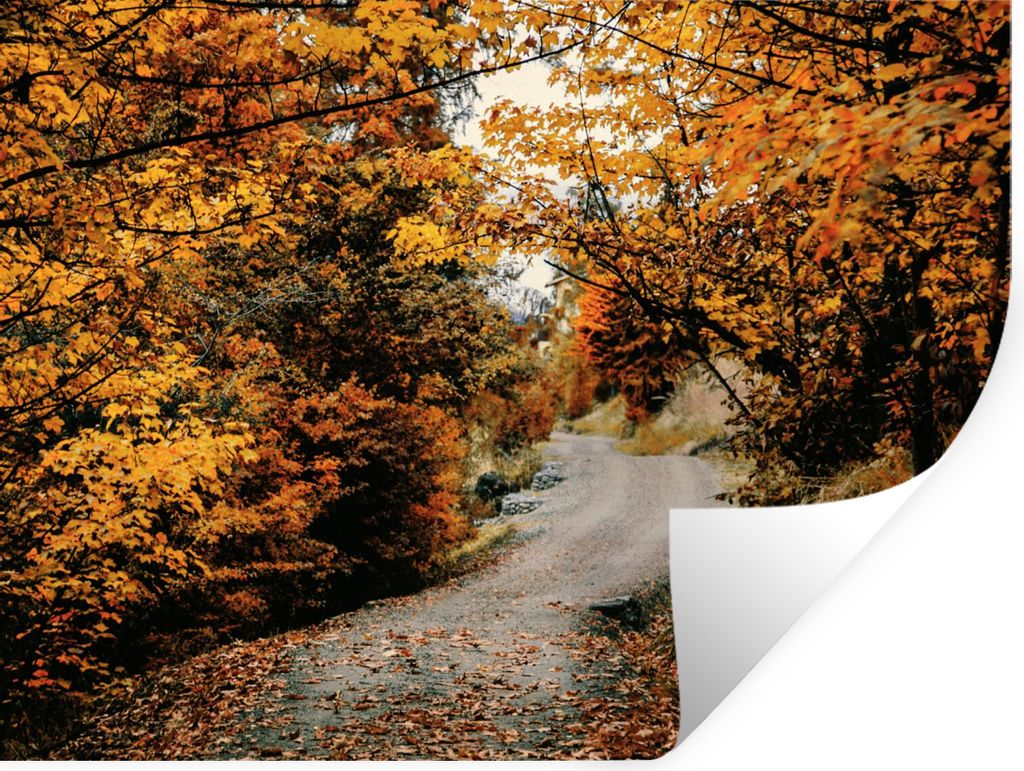 MuchoWow Wandtattoo Wandsticker Wandaufkleber Herbstwald - Weg - Laub - Ländlich 120x90 cm Selbstklebend und Repositionierbar - Aufkleber