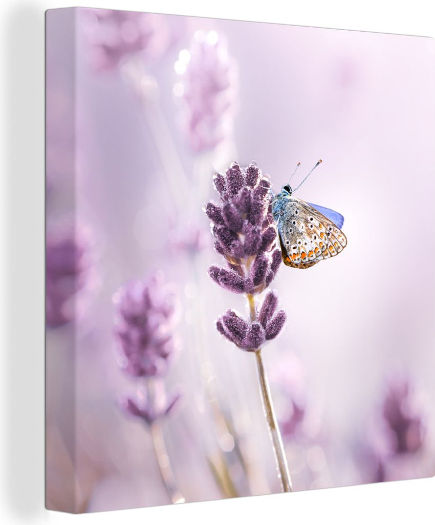 OneMillionCanvasses® - Leinwandbilder - Bild auf Leinwand Produktbild 