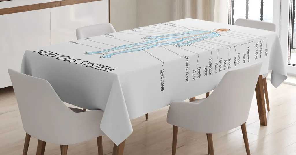 ABAKUHAUS Tovaglia Anatomia 140x200 cm - Sistema Nervoso Marrone Pastello