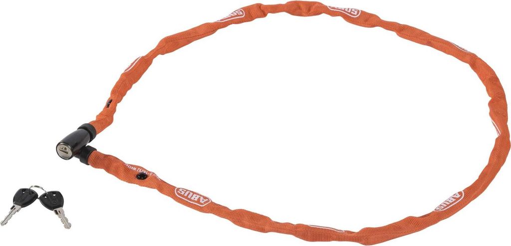 ABUS 1500/110 Web a colori Immagine del prodotto 