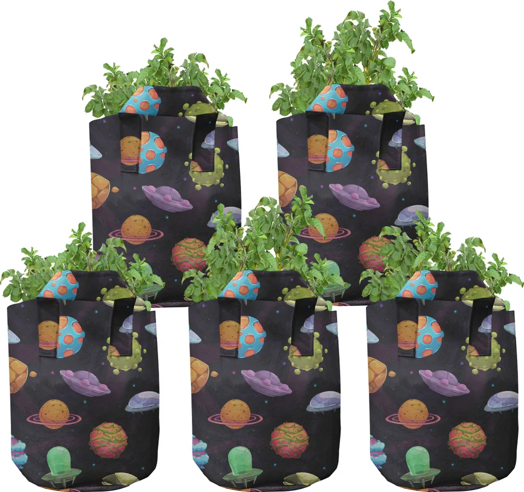 Pots de culture anti-chignonage en tissu 5 gallons Lot de 5 multicolore