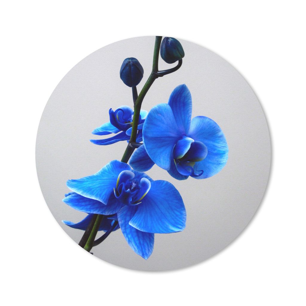 MuchoWow Mauspad Mousepad Blaue Orchidee 20x20 cm - Mousepads - Maus Mat - Pad - Mausunterlage - Schreibtischmatte