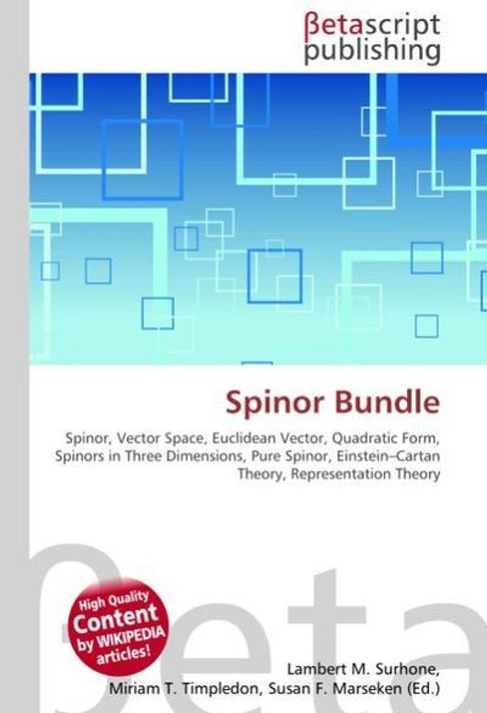 Spinor Bundle