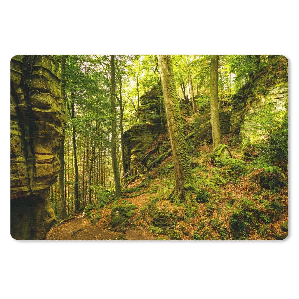 MuchoWow Schreibtischunterlage Bäume - Stein - Wald - Natur - Pflanzen 60x40 cm - XXL Mauspad - Großes Mauspad