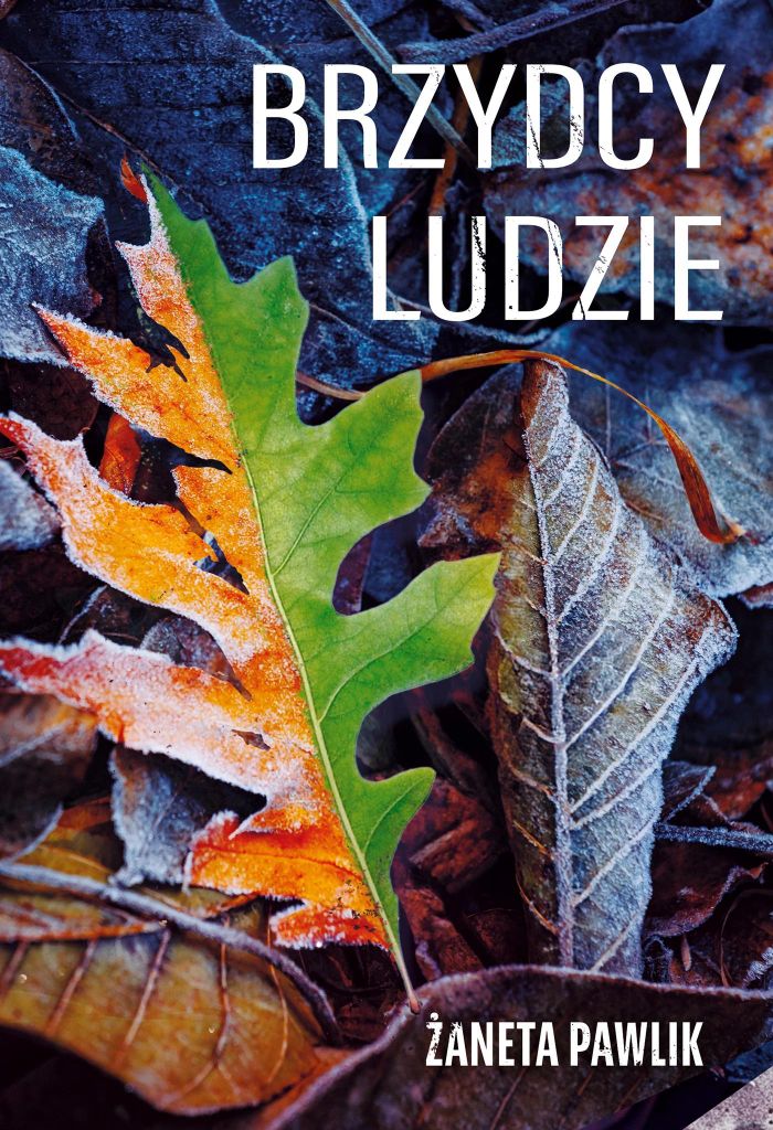 Brzydcy ludzie - Żaneta Pawlik (Buch auf Polnisch)