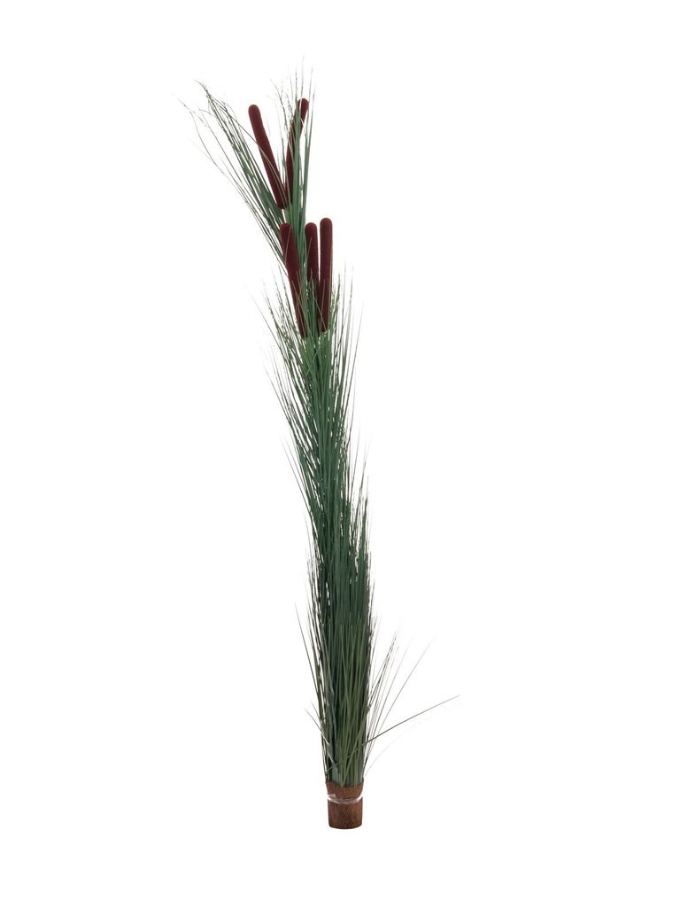 EUROPALMS Schilfgras mit Kolben, künstlich, dunkelgrün, 152cm (82505854)