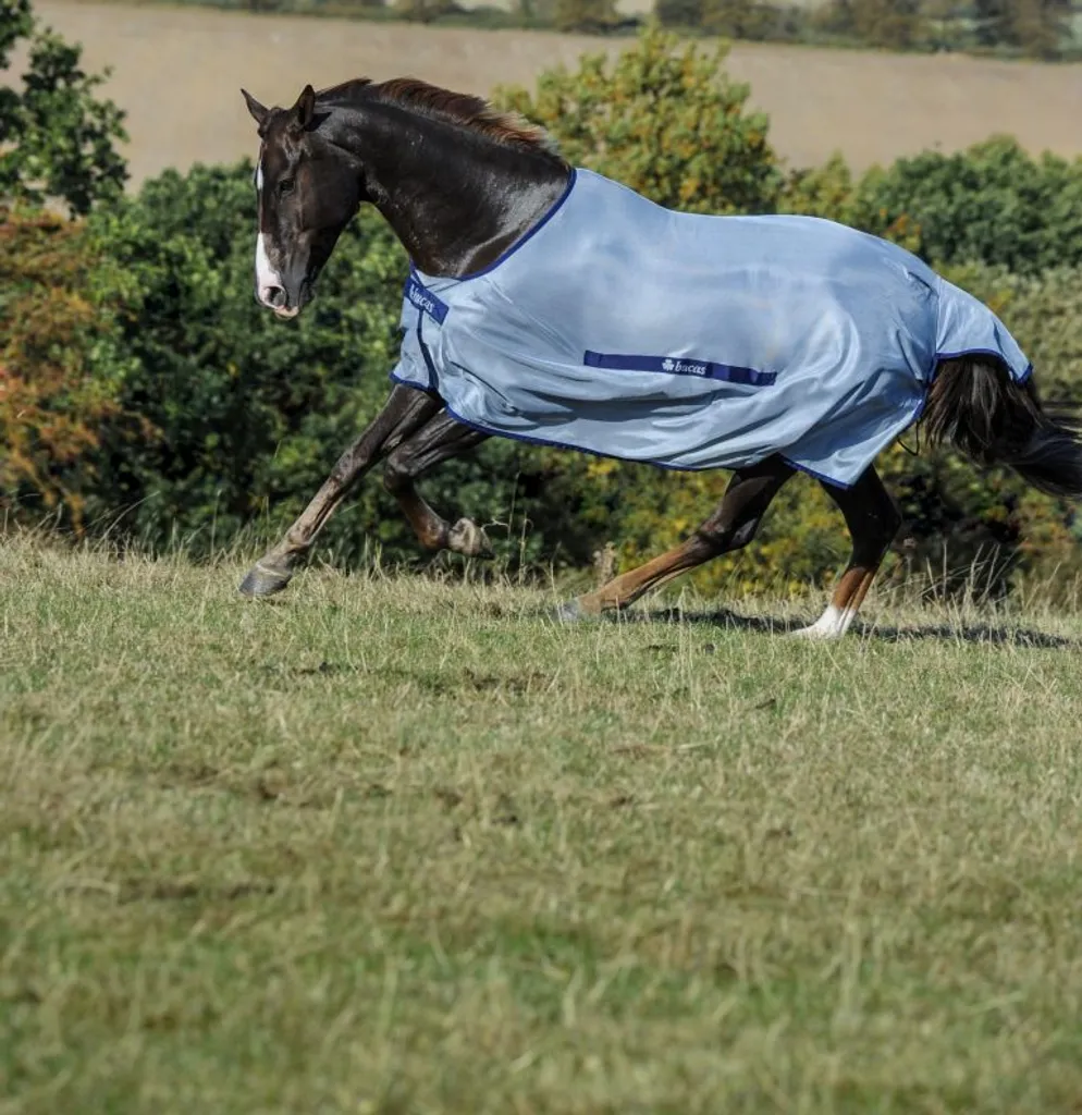 Bucas Buzz-Off Classic 145cm | Protezione Insetti Cavallo Argento-Navy